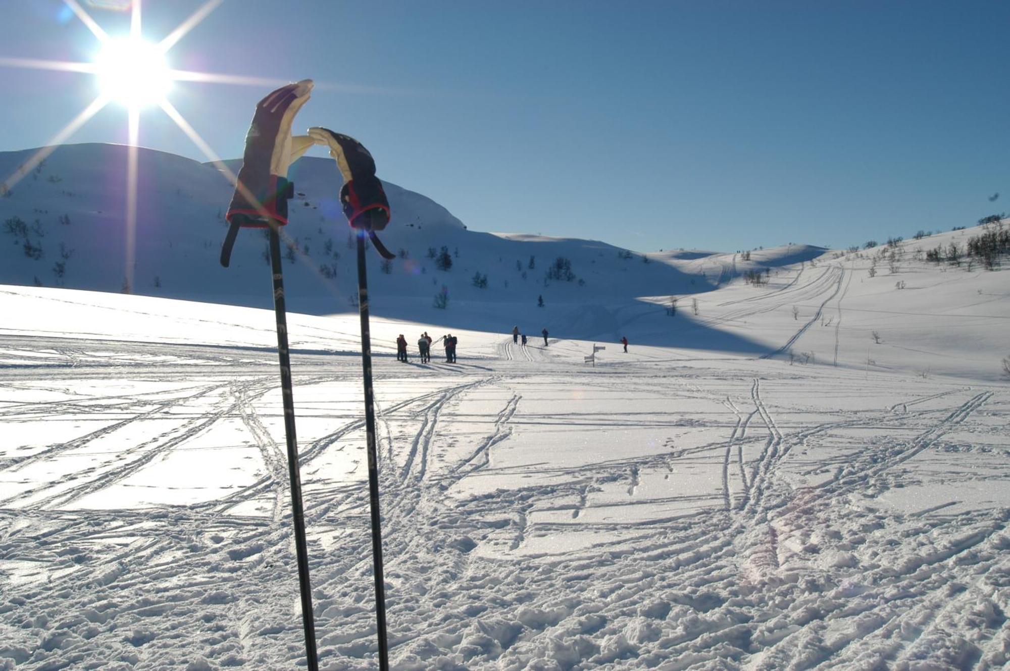 Rauland Hogfjellshotell Exteriör bild
